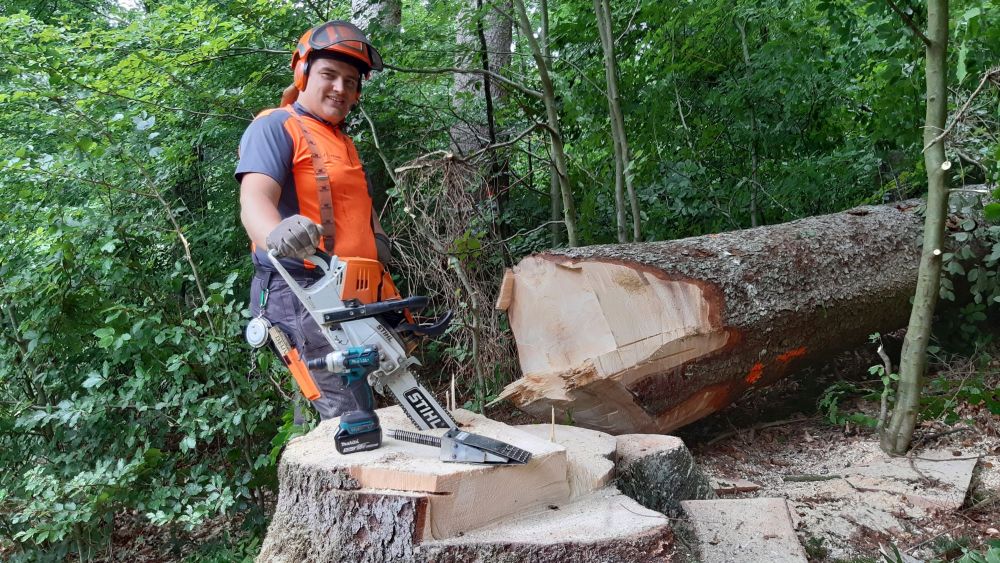 Holzeinschlag und Holzrückung
