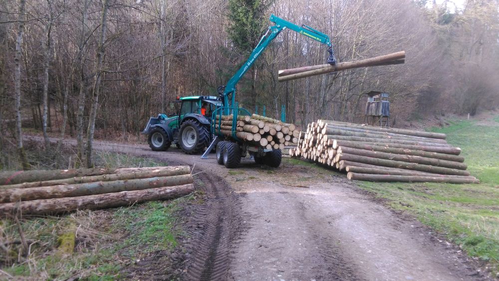 Holzeinschlag und Holzrückung